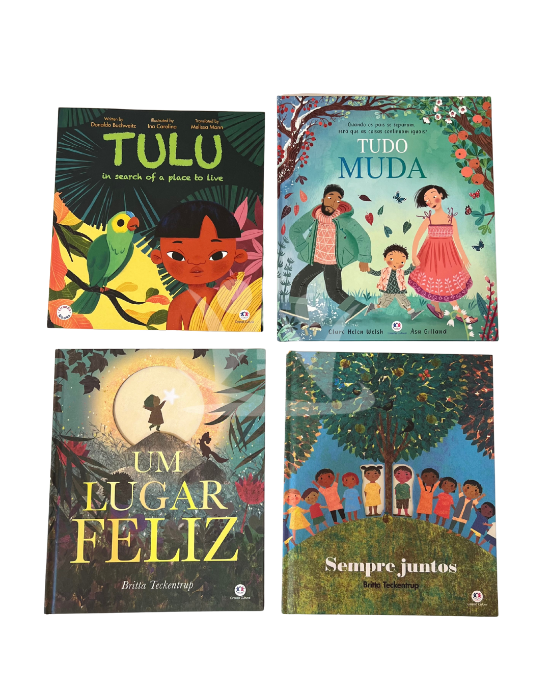 Kit Literário Raízes Brasileiras: Afro, Indígena e Regional (50 livros) - Imagem 4