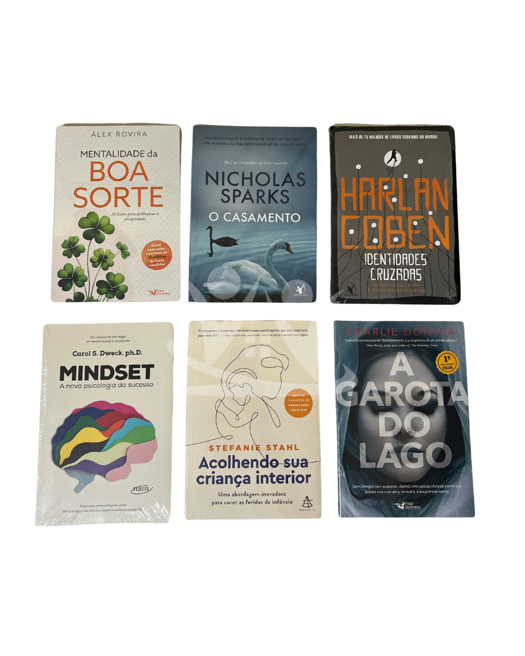 Kit Literário Biblioteca Pública: Portal para o Desenvolvimento Pessoal e Profissional - Imagem 2