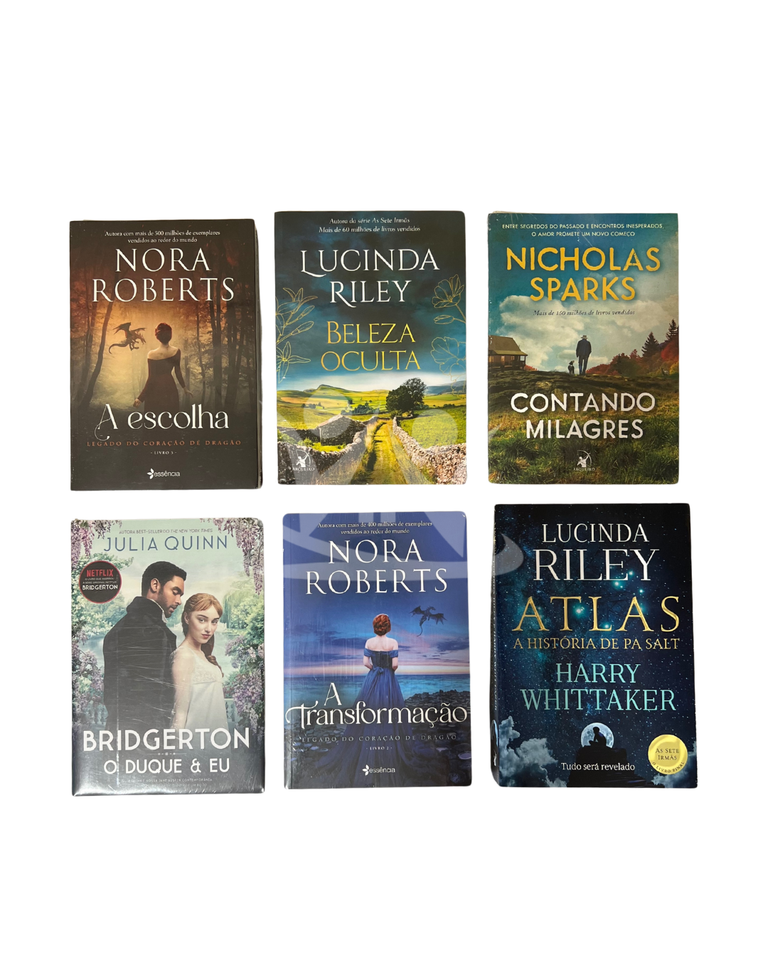 Kit Literário Biblioteca Pública: Portal para o Desenvolvimento Pessoal e Profissional - Imagem 3