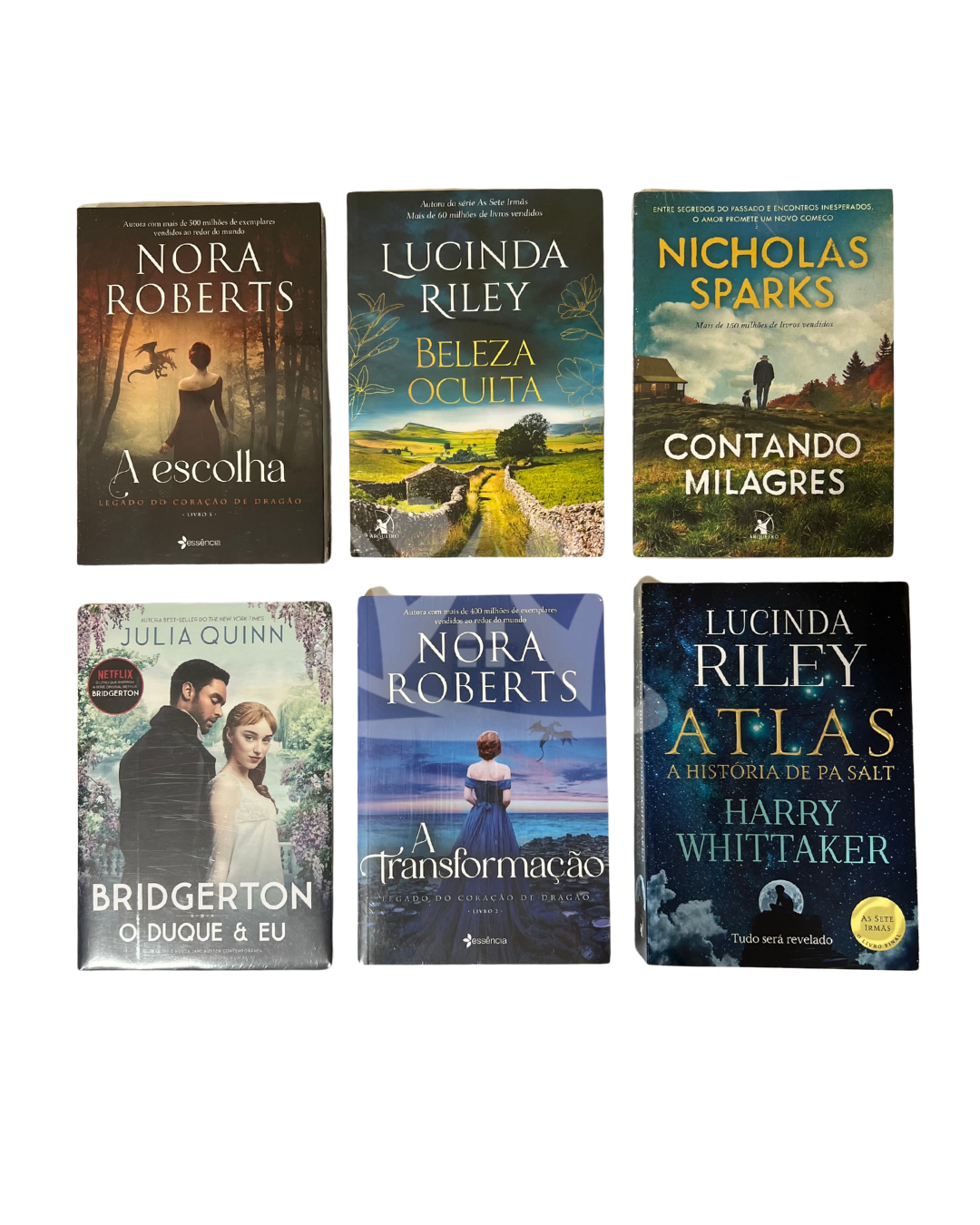 Kit Literário Biblioteca Pública: Portal para o Desenvolvimento Pessoal e Profissional - Imagem 6