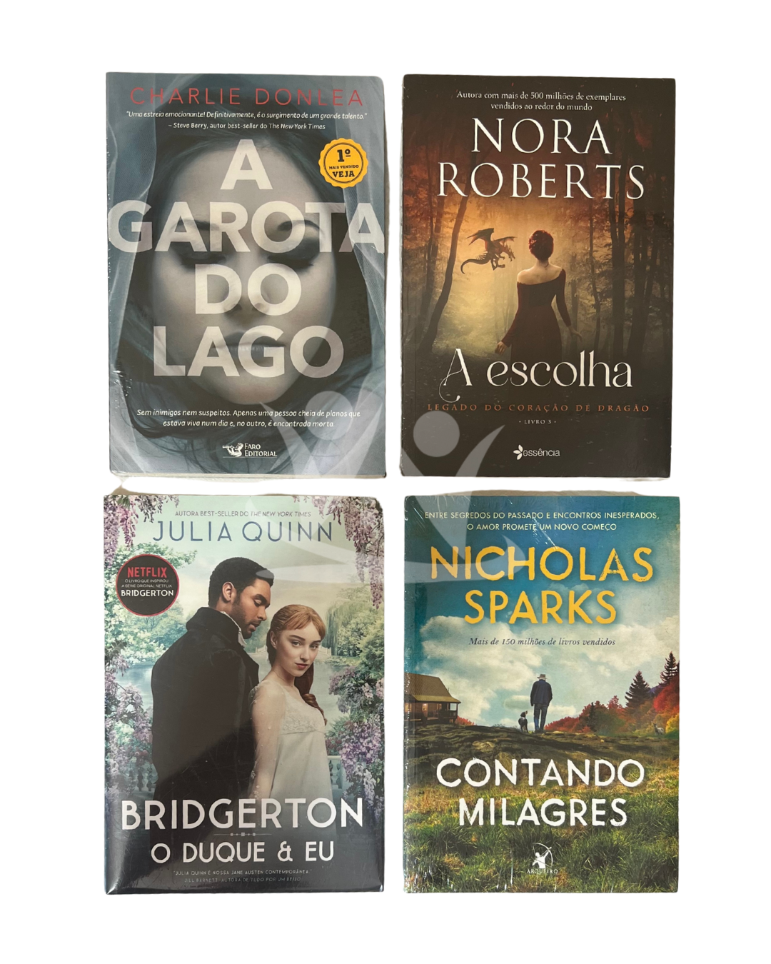 Kit Literário Biblioteca Pública: Portal para o Desenvolvimento Pessoal e Profissional - Imagem 8