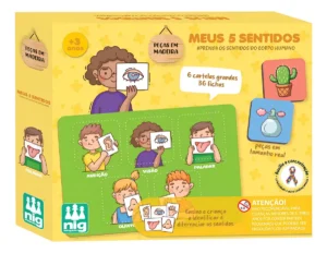 Meus 5 Sentidos