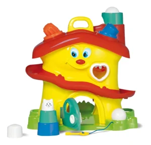 Activity House