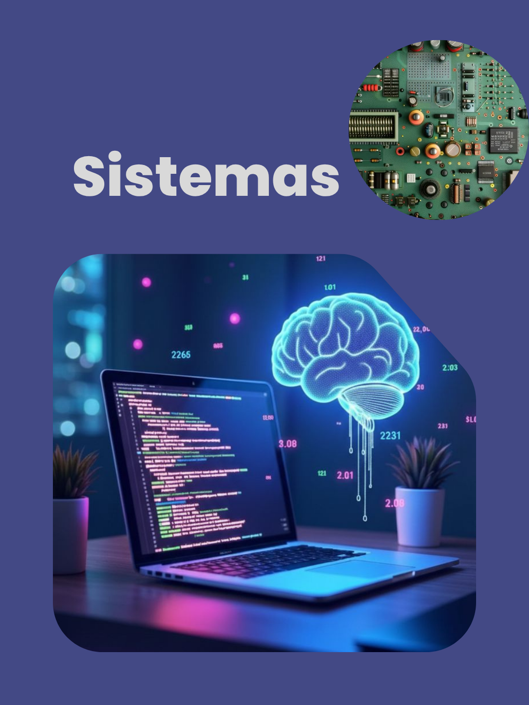 Sistema RiA - Rede Integrada de Acolhimento