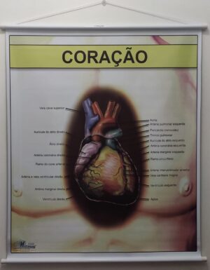 Banner Científico - Coração