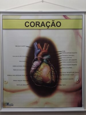 Banner Científico - Coração