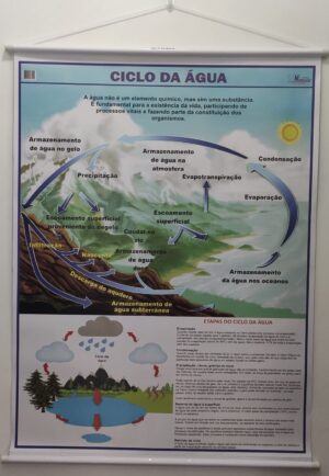 Banner Científico - Ciclo da Água