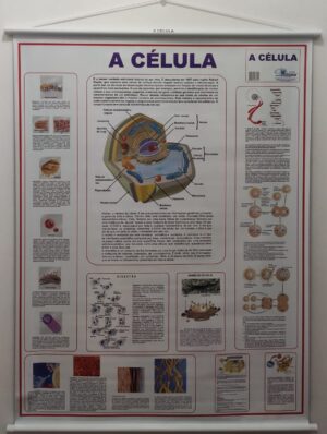 Banner Científico - A Célula