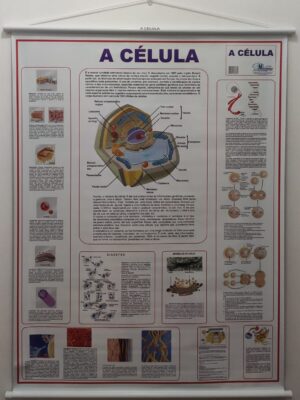 Banner Científico - A Célula