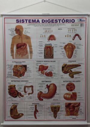 Banner Científico - Sistema Digestório