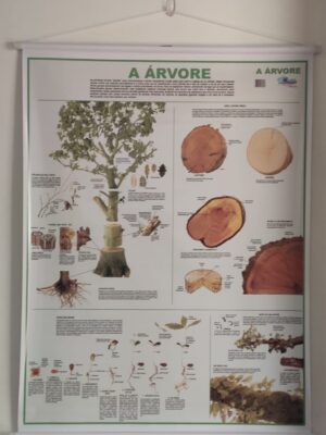 Banner Científico - A Árvore