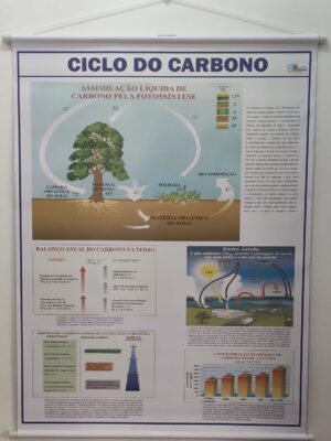 Banner Científico - Ciclo do Carbono