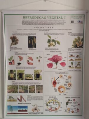 Banner Científico - Reprodução Vegetal I