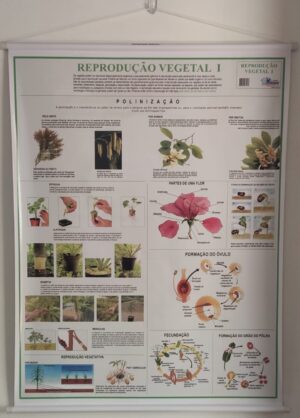 Banner Científico - Reprodução Vegetal I
