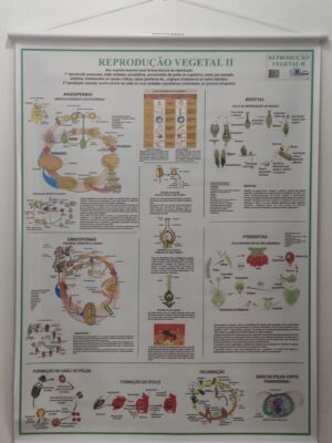 Banner Científico - Reprodução Vegetal II