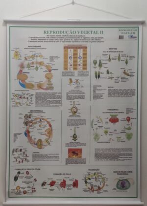 Banner Científico - Reprodução Vegetal II