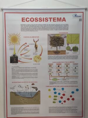Banner Científico - Ecossistemas