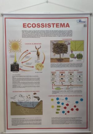 Banner Científico - Ecossistemas