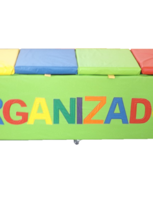Baú Organizador